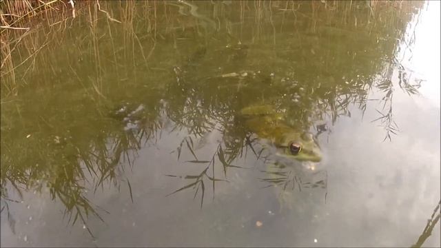 Клёвое место. Самара. Лодка. Шаурма. смотреть онлайн