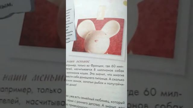 Узнаём мир! Узнайте о животных, моде,секретах, семье и так далее. Вместе с Ариной) смотреть онлайн