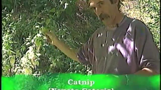 Herbal Remedies From Your Garden - Natural Health & Healing смотреть онлайн