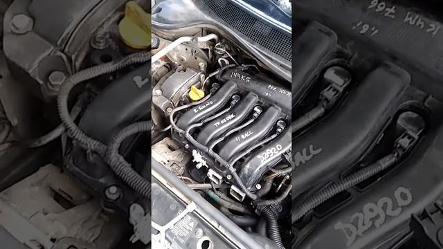 Меган троит