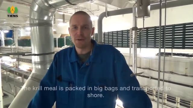 ДОБЫЧА КРИЛЯ ДЛЯ ТЯНЬШИ "Масло криля с облепихой и амарантом ТЯНЬШИ смотреть онлайн