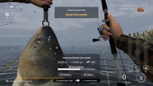 Fishing Planet-Озеро Зандер Баггер,Германия.Охота на толстолоба.