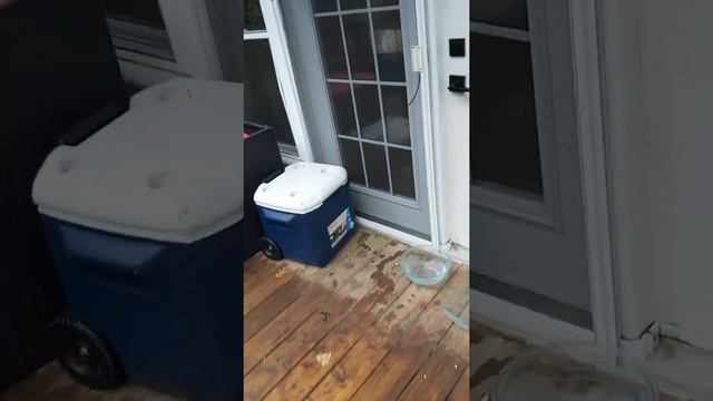 Earlier Video 9:30 AM Oct 21,2020 смотреть онлайн