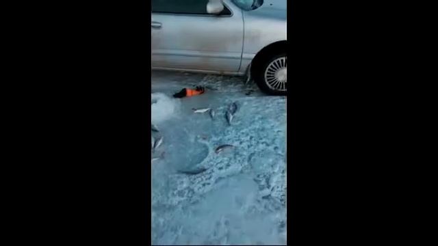 Рыбалка на оз Алаколь Март 2016 год 2 смотреть онлайн