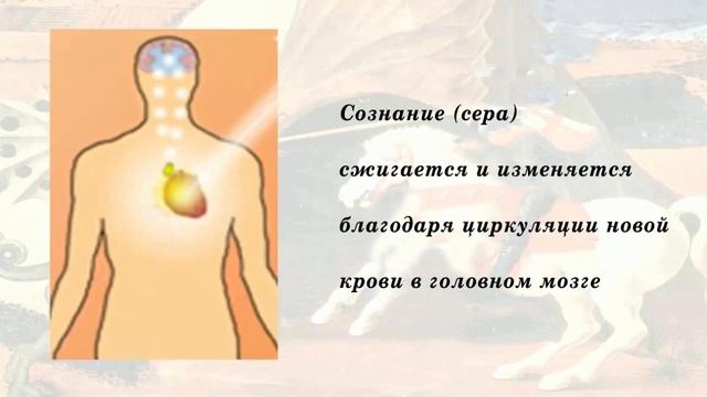 Алхимия Розенкрейцеров: секретное искусство трансформации смотреть онлайн