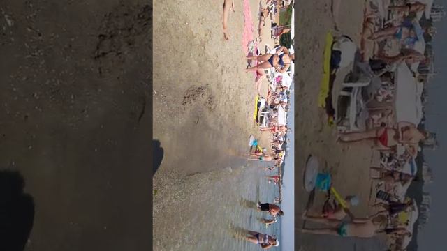 Бесплатно Собачий пляж в Одессе. Прозрачная вода смотреть онлайн