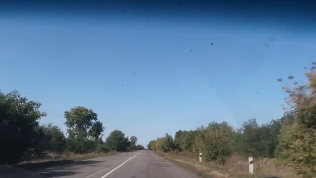 VLOG Отдых с Серёжей. Жареные карасики смотреть онлайн