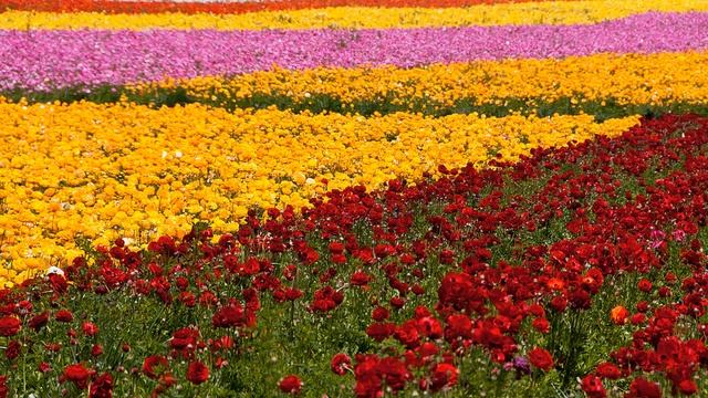 «И речка подо льдом блестит » смотреть онлайн