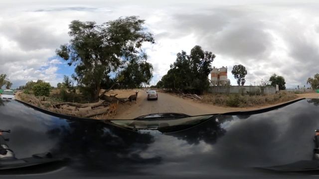 Safari Ramat Gan (Israel) (part 2). Сафари-парк в Рамат-Гане (Израиль) (часть 2) смотреть онлайн
