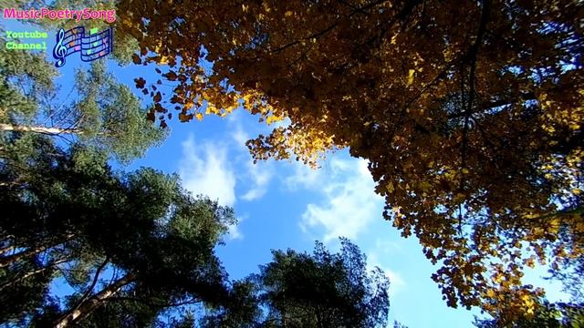 Классическая осень. И.С.Бах Прелюдия До мажор (C dur) смотреть онлайн