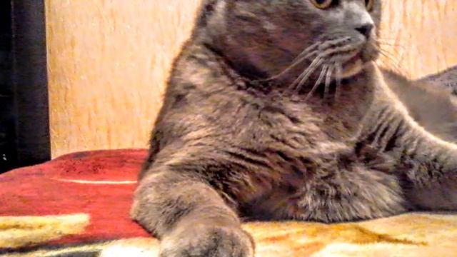 Услуги электрика в Броварах +380671004624 ремонтквартирвброварах #электрик #бровары смотреть онлайн