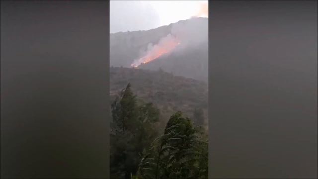 PORT d´ALBAIDA - Un rayo causa un incendio en la Cova Alta de Albaida.17 de agosto de 2022. смотреть онлайн