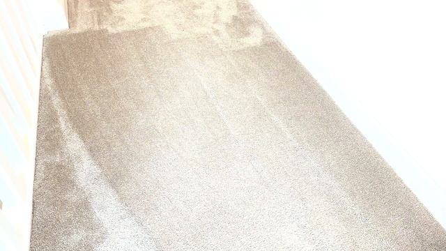 Review - Dyson V15 Detect Absolute смотреть онлайн