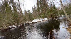 Есть ли жор щуки в мае в Карелии. Рыбалка Карелия.