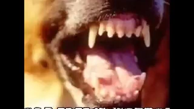 Mo-Do - Hamlet смотреть онлайн