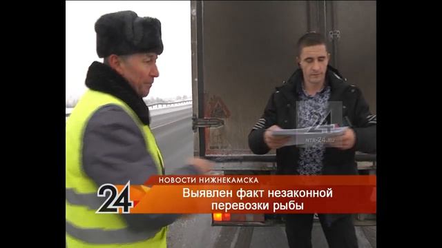 В Нижнекамске обнаружена крупная партия нелегальной рыбы смотреть онлайн