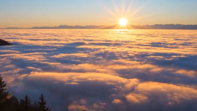 Free your mind ⛅ Meditate, sleep, relax, study, stress relief, calm music ? Panpipes смотреть онлайн