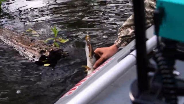 Анонс. Малые реки Черноземья. Сезон 4 смотреть онлайн