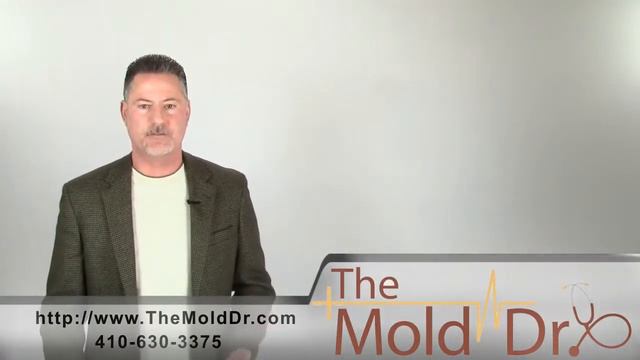How much does mold removal cost in Maryland? смотреть онлайн