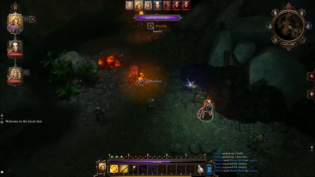 Divinity Original Sin - Wolgraff - Burglar Companion - The Bear and The Burglar DLC - GUIDE/Locatio смотреть онлайн