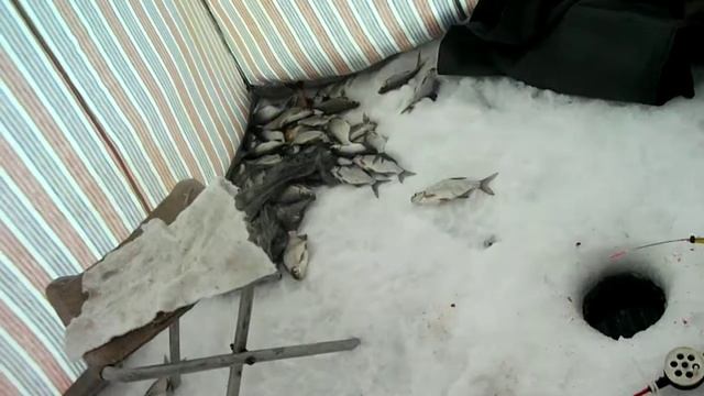 рыбалка на Плёсе смотреть онлайн