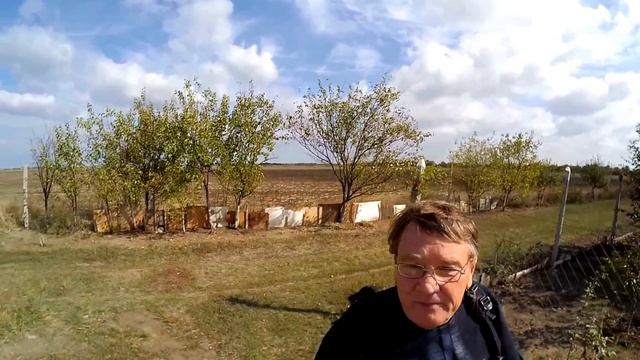 МУКИ ВЫБОРА: ВЫБИРАЕМ ДАЧУ смотреть онлайн