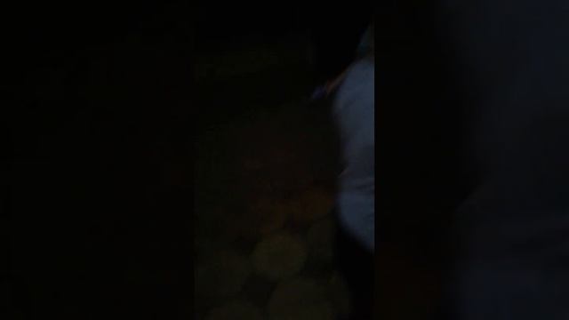 канал джабраил камера мен скоро выйдит смотреть онлайн