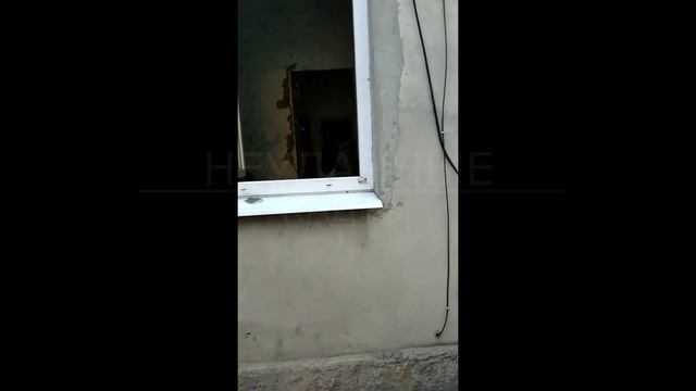 ДОМАШНИЙ-ПИТОМЕЦ СНОРК \\ СТАЛКЕР смотреть онлайн