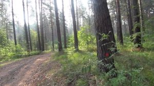 Платный Отдых на ОБИ!. Реально?! Новосибирск-Бердск.