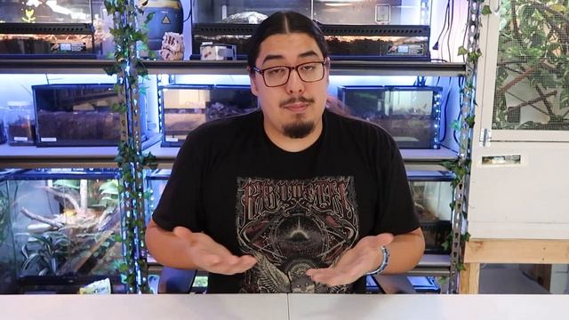 What Do Bearded Dragons Eat? Ultimate Bearded Dragon Feeding Guide! смотреть онлайн