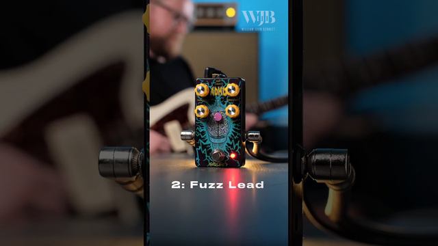 Three Sounds: Acorn Amps ADHD Fuzz смотреть онлайн