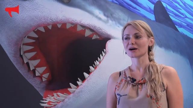 Выставка 3D картин открылась во Владивостоке смотреть онлайн