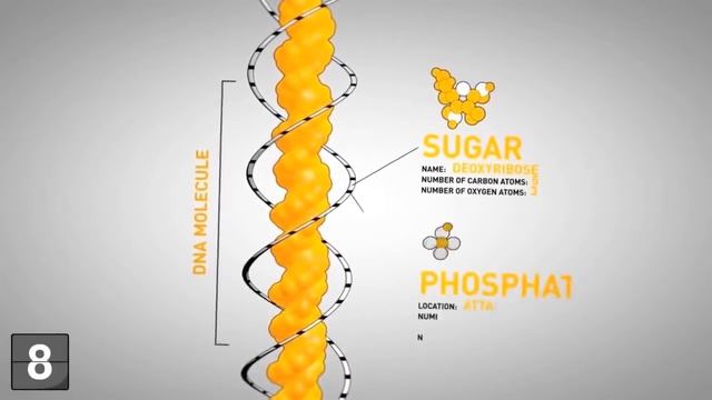 18 фактов о генетике, которые нужно знать всем!