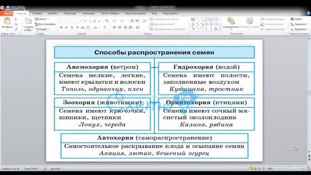 ОГЭ по биологии 9 класс. Занятие 17. Царство растения. смотреть онлайн