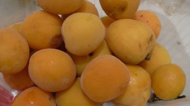 АБРИКОС ПОЛЕЗЕН ДЛЯ КОСТЕЙ ТО ЧЕГО ВЫ НЕ ЗНАЛИ смотреть онлайн