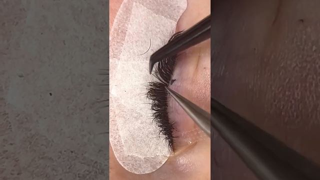 Мне больно читать такие комментарии #eyelashes #lashextensions #ресницы смотреть онлайн