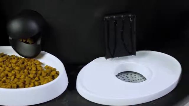 Удивительные гаджеты для домашних животных смотреть онлайн