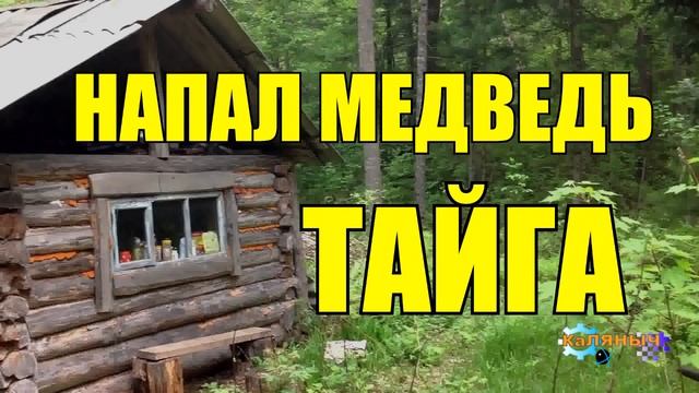 АТАКА МЕДВЕДЯ ГЕОЛОГИ ЖИЗНЬ В ТАЙГЕ смотреть онлайн