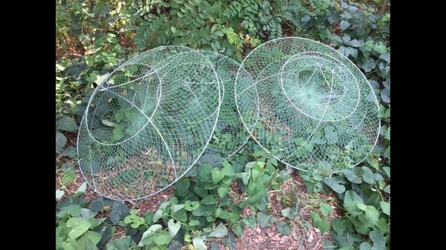 ГДЕ РАКИ? НОВЫЙ ВОДОЕМ. ЛОВИМ РАКОВ НА РАКОЛОВКИ. РАКОЛОВКА. смотреть онлайн