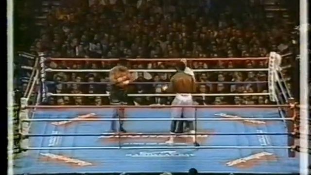 Бокс супер тяжелый вес Леннокс Льюис vs Дэвид Туа. смотреть онлайн