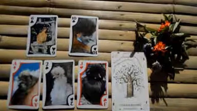 Mid-July 2016 Oracle Reading, "Going A New Way!" смотреть онлайн