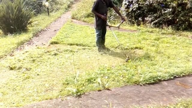 Grass cutting at gardening смотреть онлайн