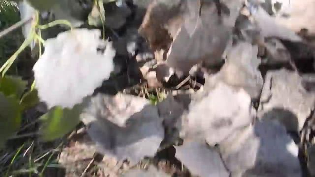 Искусство и Мастерство