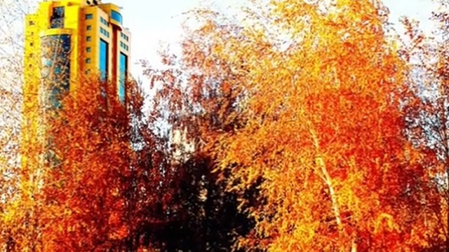 Бабье лето в Астане смотреть онлайн