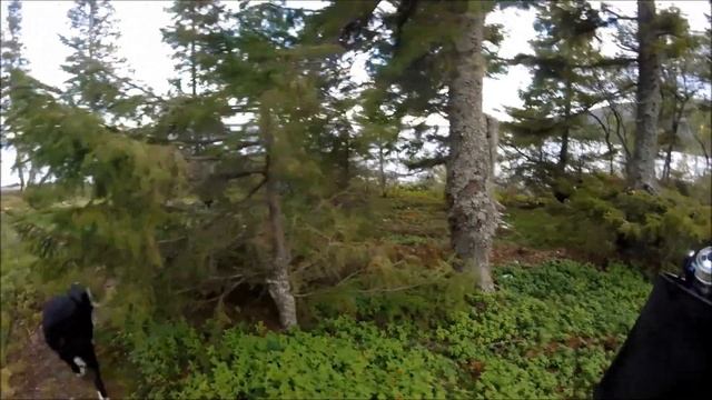 ЛОВОЗЕРО За КУМЖЕЙ продолжение. смотреть онлайн