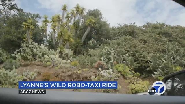 TV journalist documents wild ride inside Waymo self-driving car in San Francisco смотреть онлайн