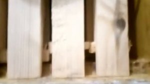 Разделитель гоуфмона 37 или 35 мм где стандарт?