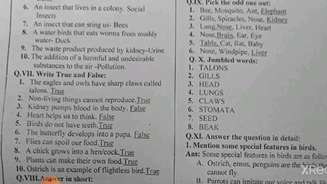 Class 3 First Term Science Worksheet 21 смотреть онлайн