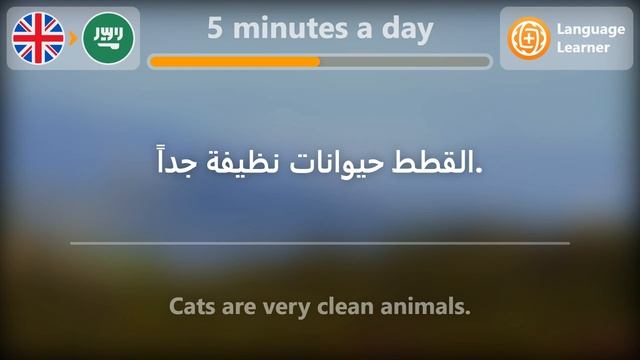 Learn Arabic in 5 minutes a day - 11/01/2023 смотреть онлайн