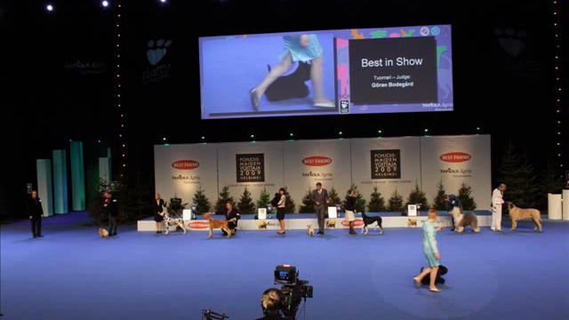 Rico - BIS Nordic Winner 2009 смотреть онлайн